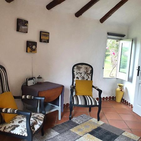 Le Clos D'Almide Monestier  Εξωτερικό φωτογραφία