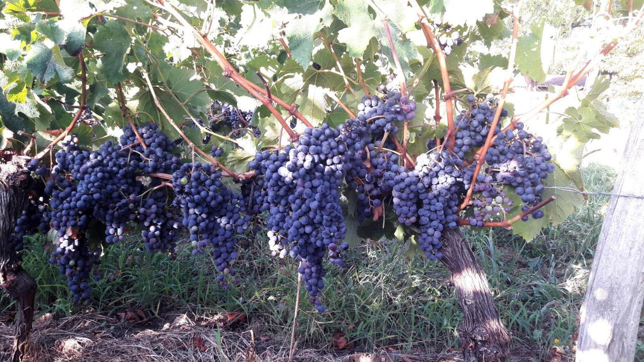 Le Clos D'Almide Monestier  Εξωτερικό φωτογραφία
