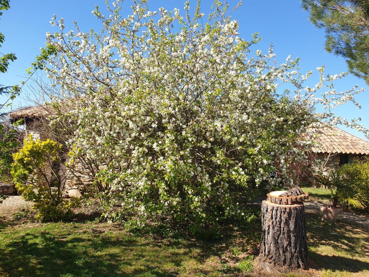 Le Clos D'Almide Monestier  Εξωτερικό φωτογραφία
