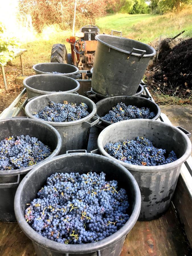 Le Clos D'Almide Monestier  Εξωτερικό φωτογραφία