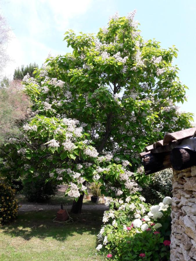 Le Clos D'Almide Monestier  Εξωτερικό φωτογραφία